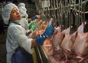 A poultry worker on the line at a Montgomery, Alabama, plant