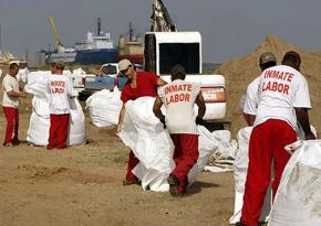 A crew of incarcerated workers on the job