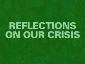 Reflections on our crisis
